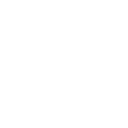 ADJUSTABLE STAR SPEED