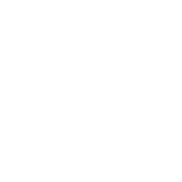 ADJUSTABLE STAR SPEED